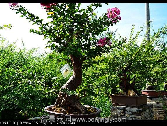 nEO_IMG_DSC_0073.jpg
