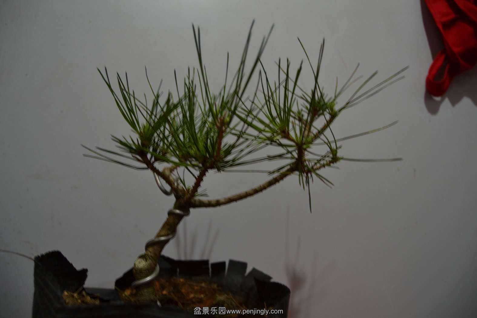2013-08-09С 003.jpg