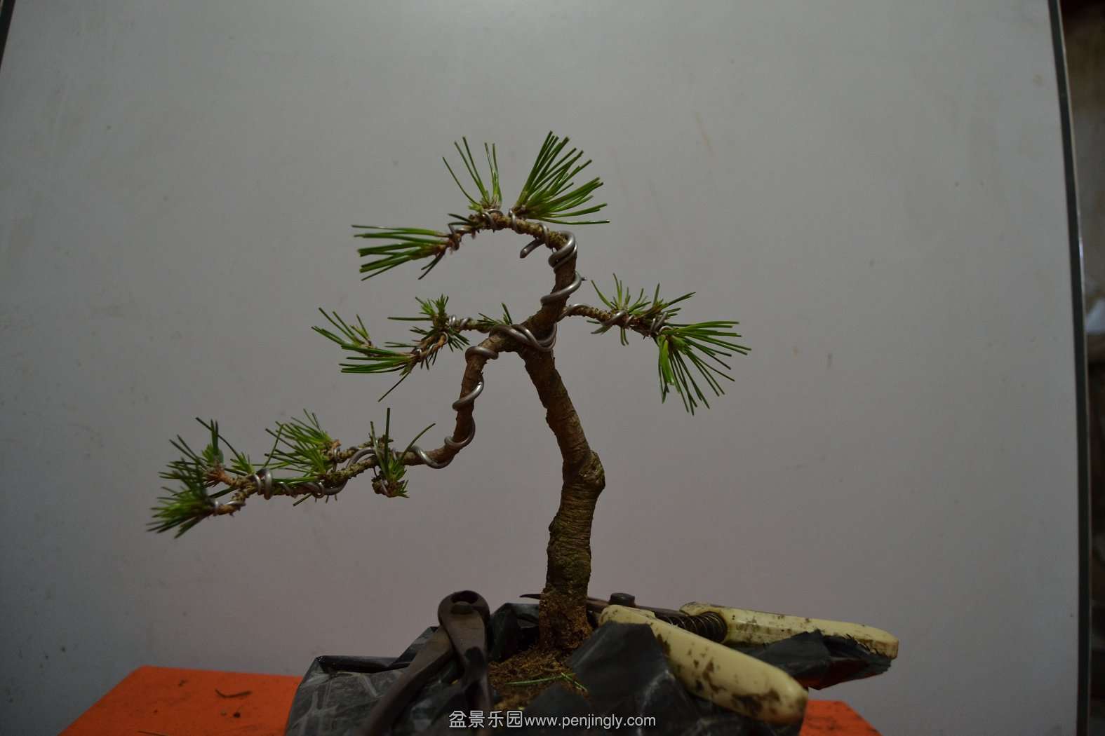 2013-08-09С 004.jpg
