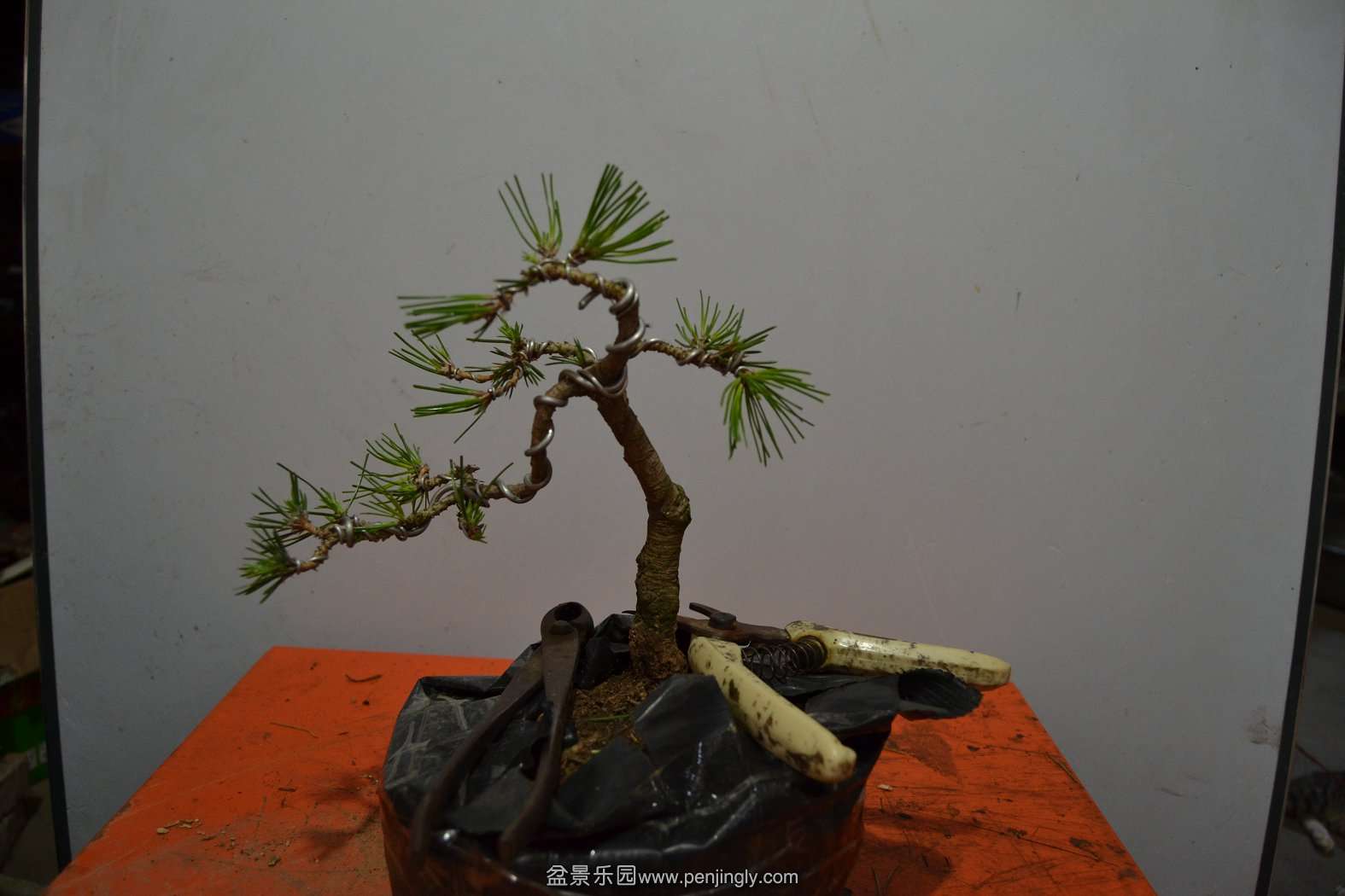2013-08-09С 005.jpg