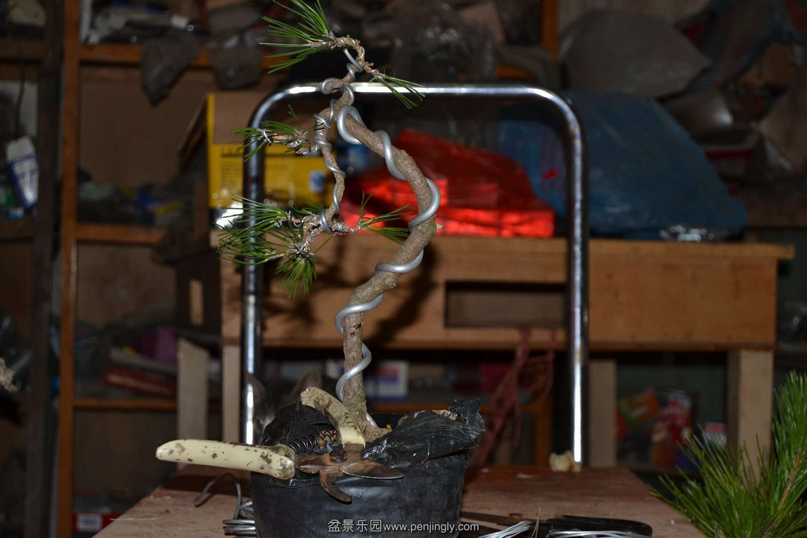 2013-08-09С 014.jpg