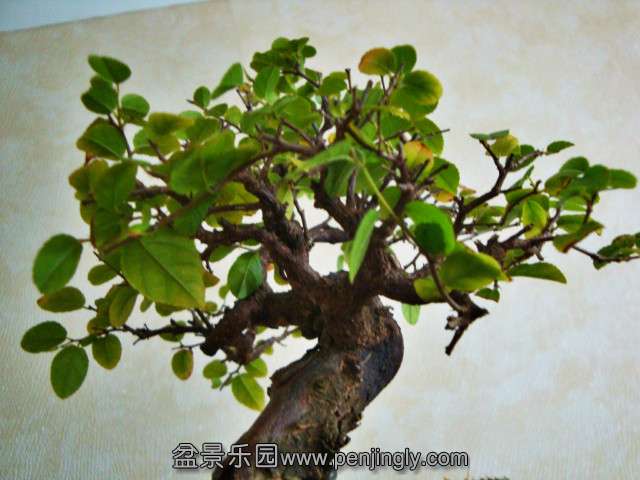 DSC04685_meitu_1.jpg