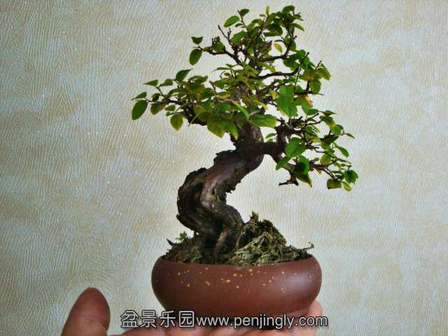 DSC04687_meitu_3.jpg