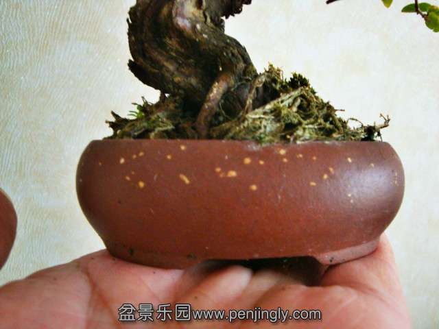 DSC04688_meitu_4.jpg