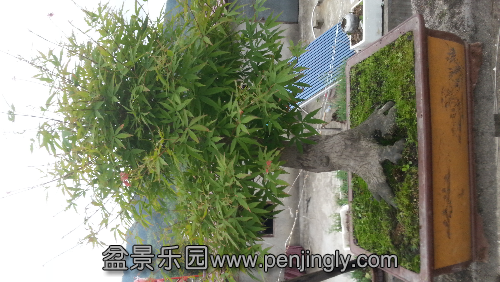 20130517_102354.jpg