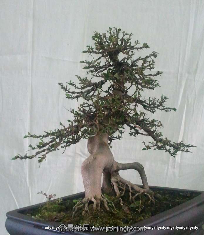 2011-08-17 09.49.13.jpg
