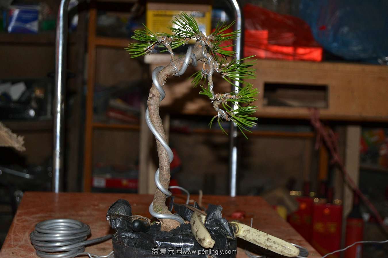2013-08-10С 011.jpg