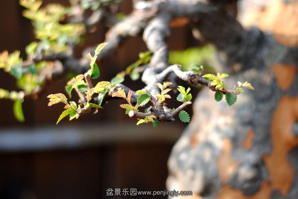 DSC_1889.JPG