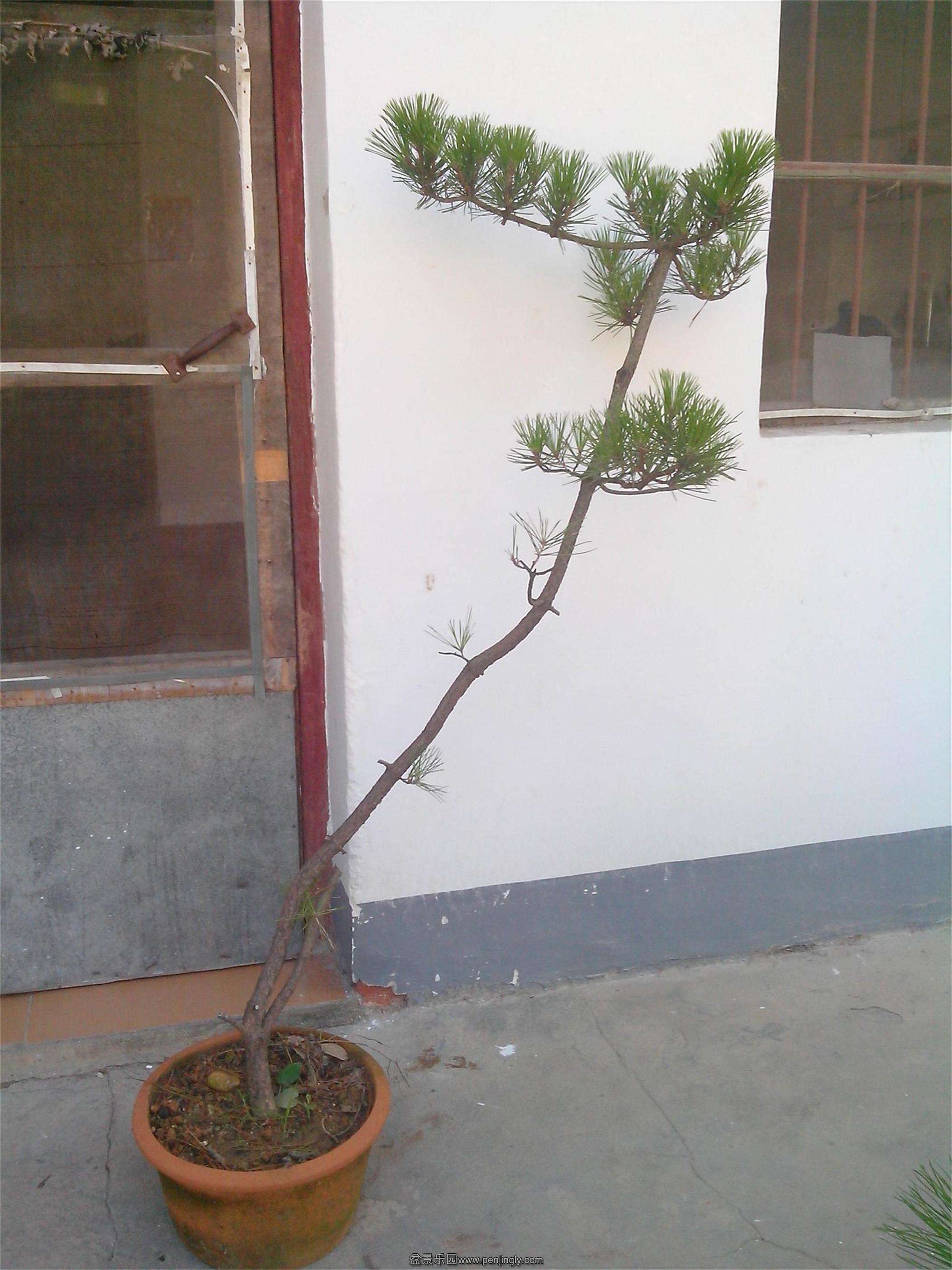 IMG20130807001.jpg