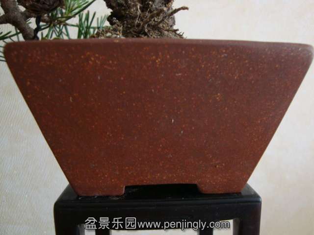 DSC04677.JPG