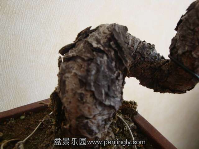 DSC04674.JPG
