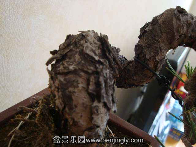 DSC04675.JPG