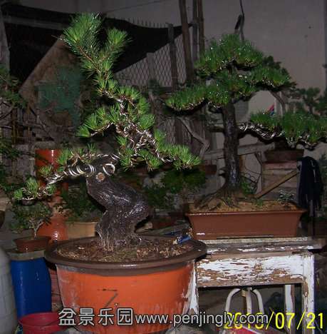 101_0115_.JPG