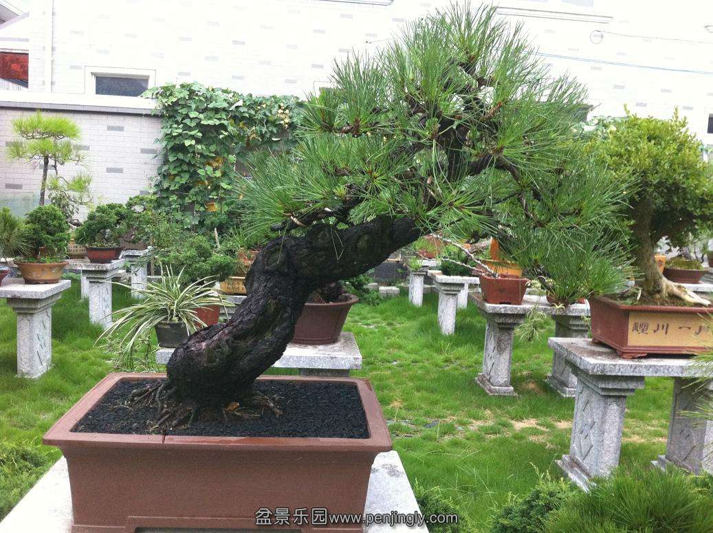20130812 024.jpg