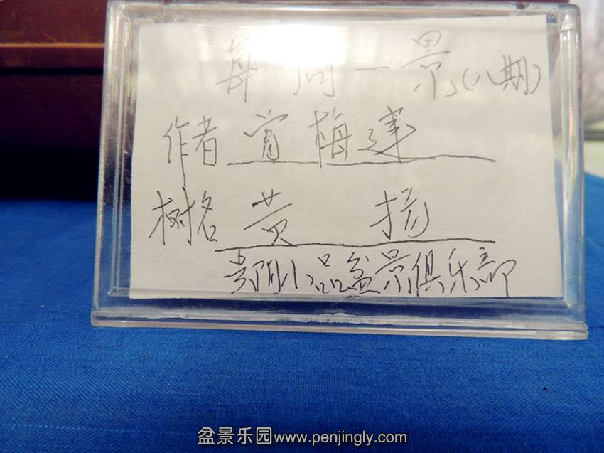 DSCN1337_.jpg