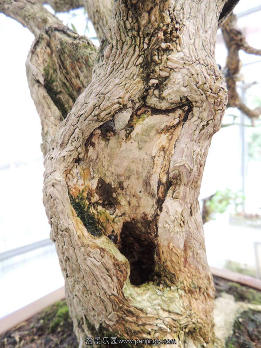 DSCN1346_ת_.jpg
