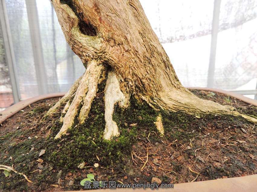 DSCN1349_.jpg