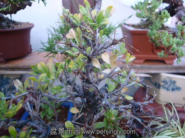 DSC04708.JPG
