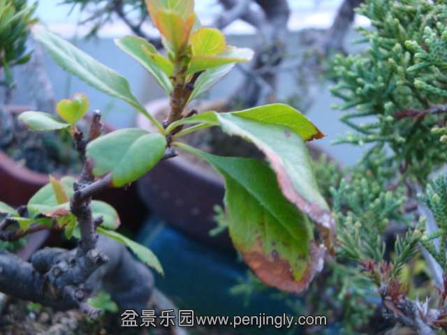 DSC04712.JPG