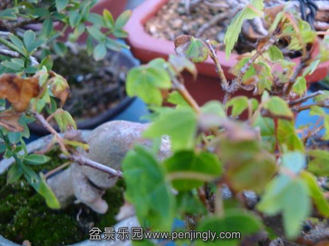 DSC04714.JPG