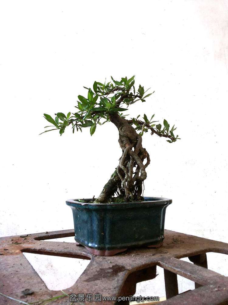 20130811_145537.jpg