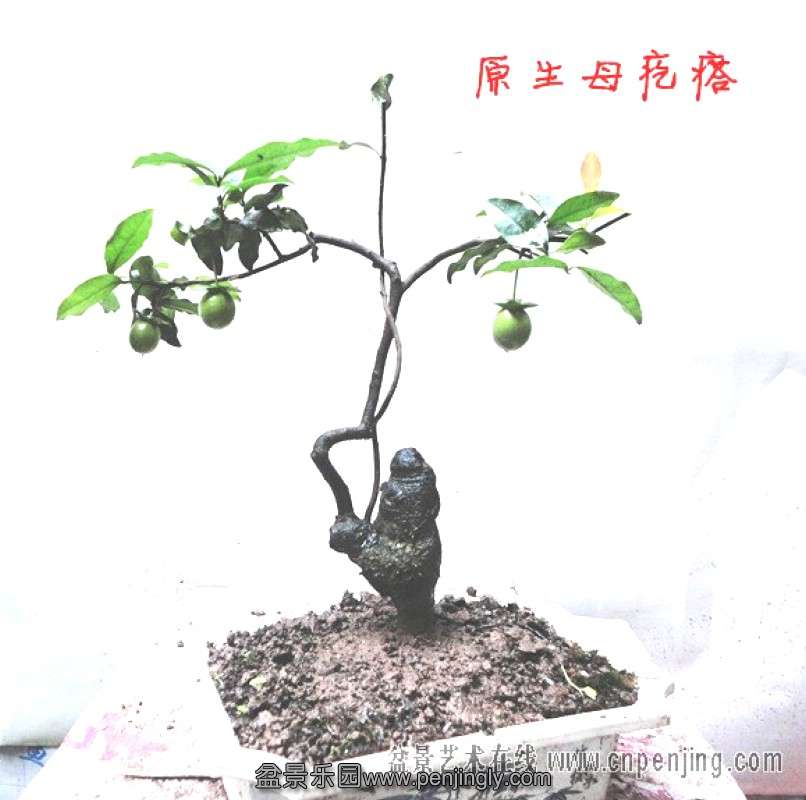 091728jbyyytbyesc1ayft.jpg