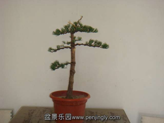 DSC07948.JPG