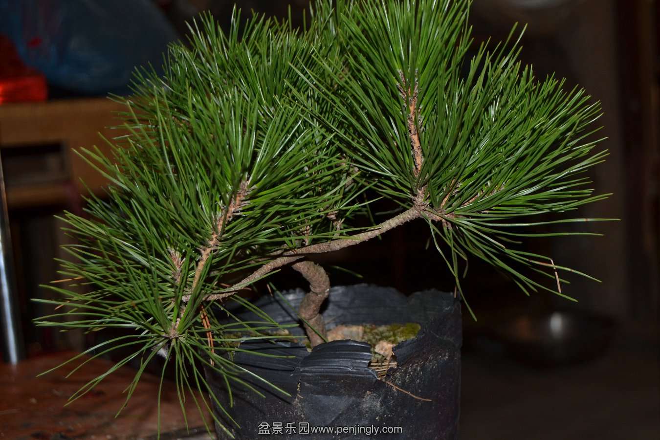 2013-08-14С 010.jpg