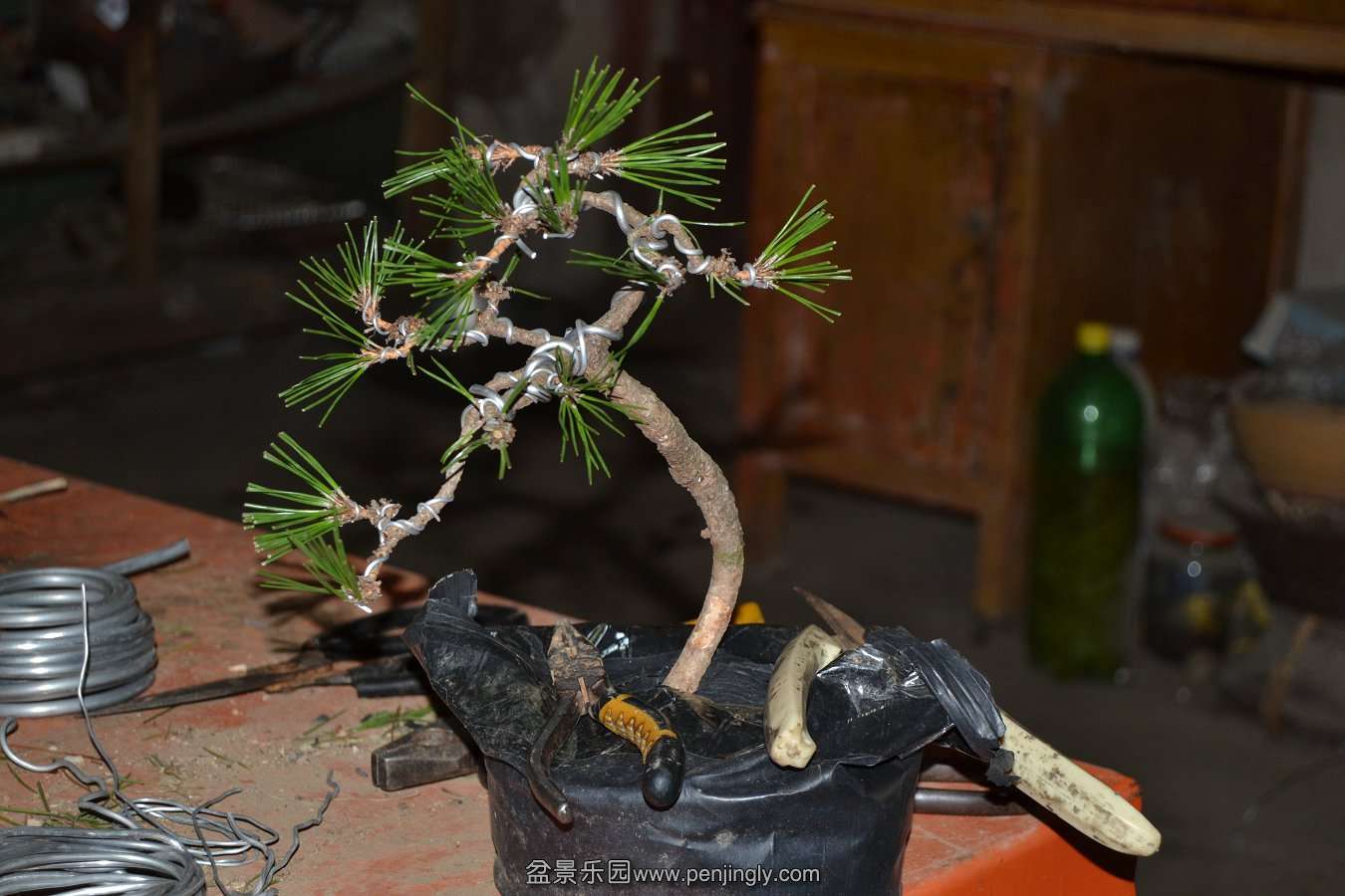 2013-08-14С 012.jpg