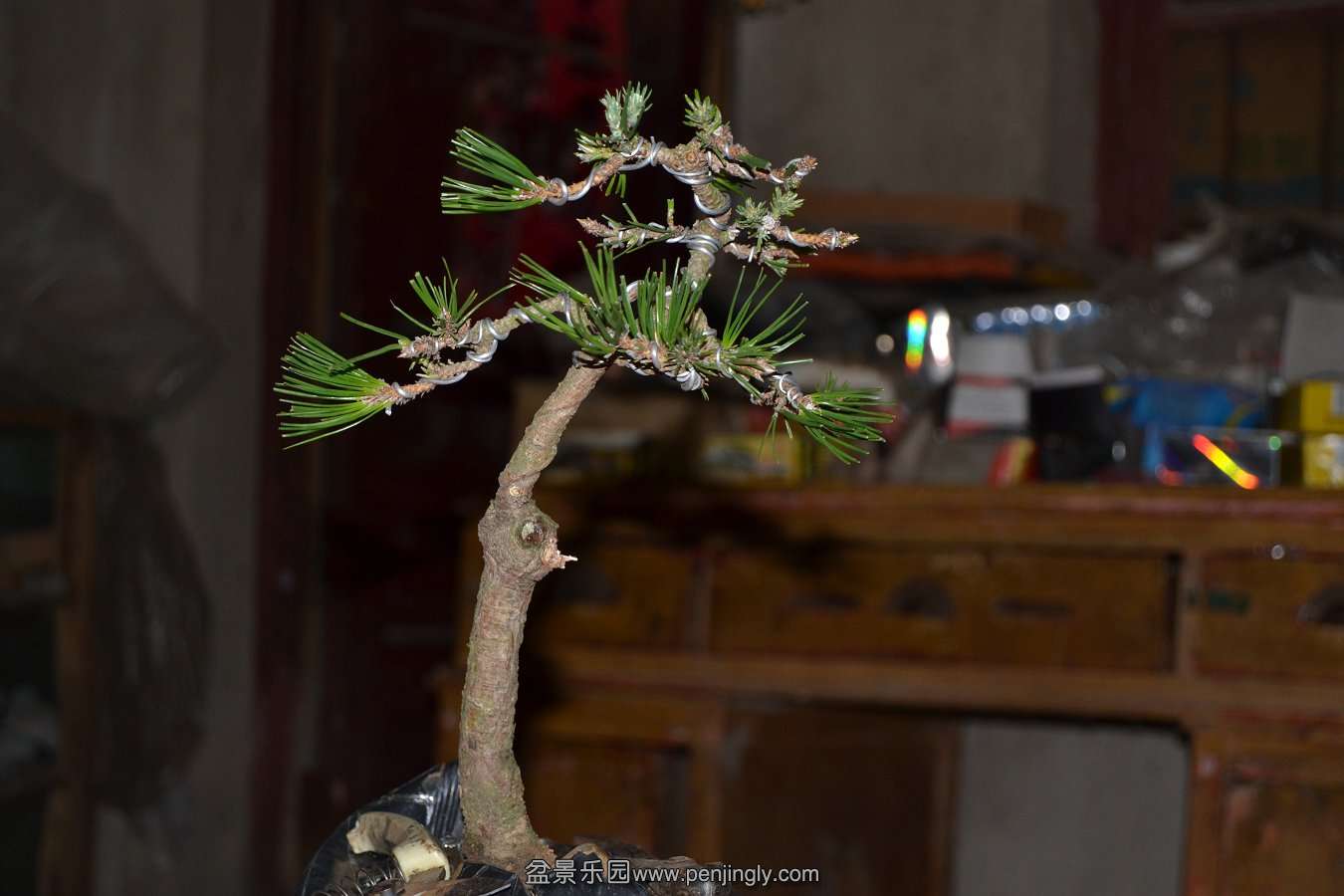2013-08-14С 023.jpg
