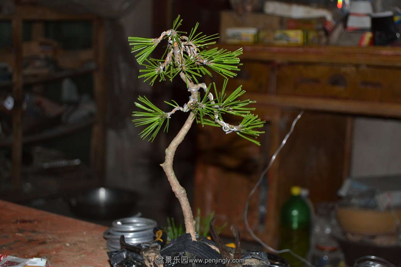 2013-08-14С 027.jpg