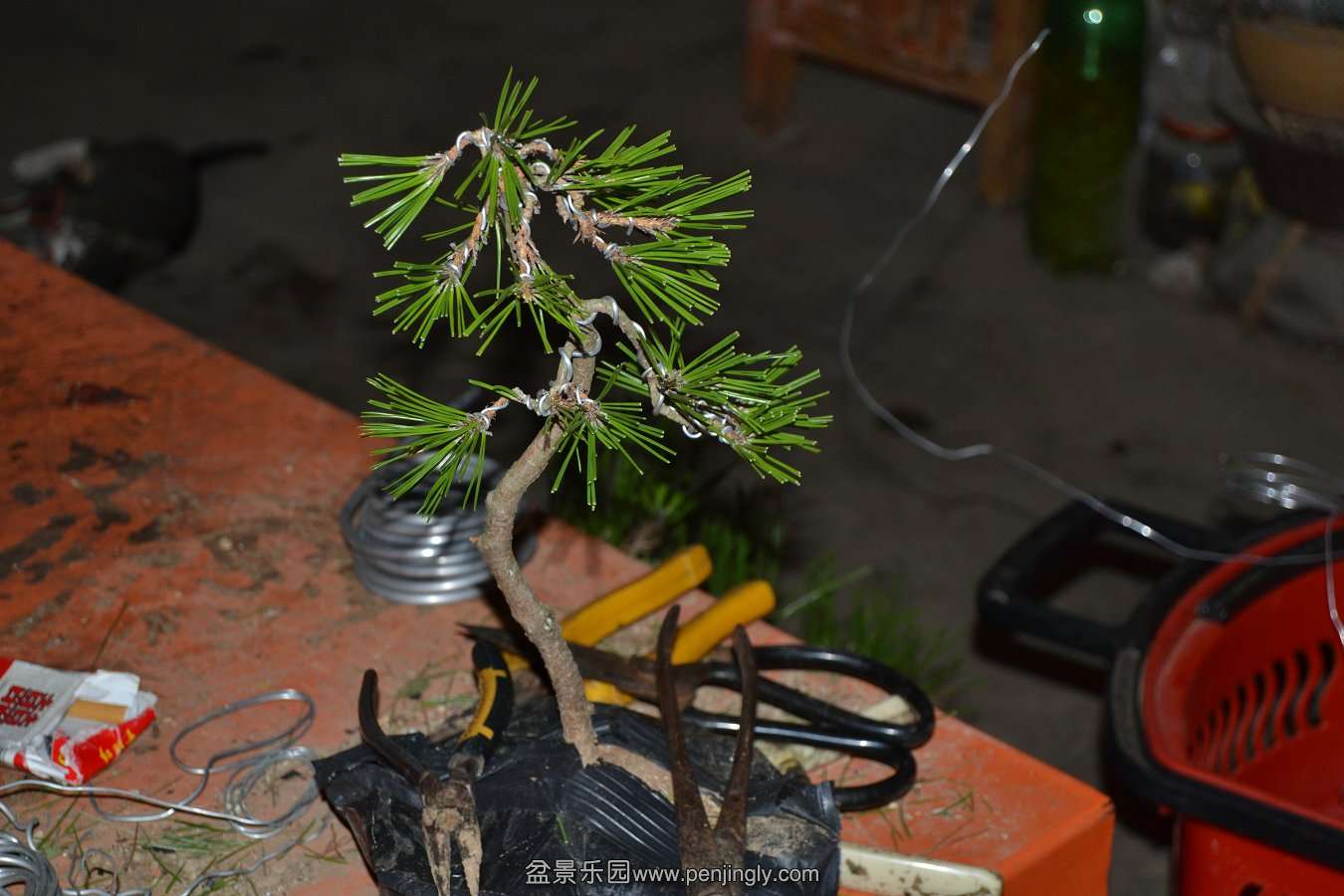 2013-08-14С 028.jpg