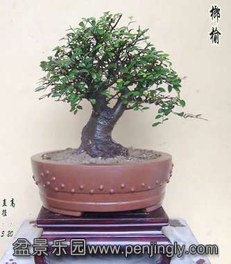 101B5600_.JPG