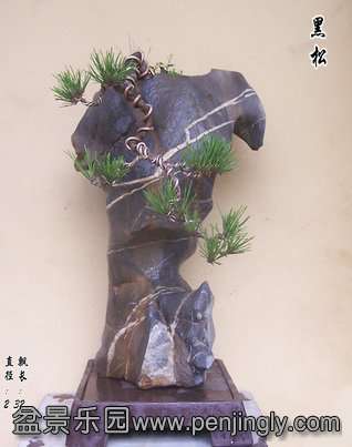 101_5330_.JPG