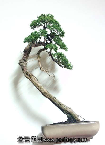 P30813-214515_副本.jpg