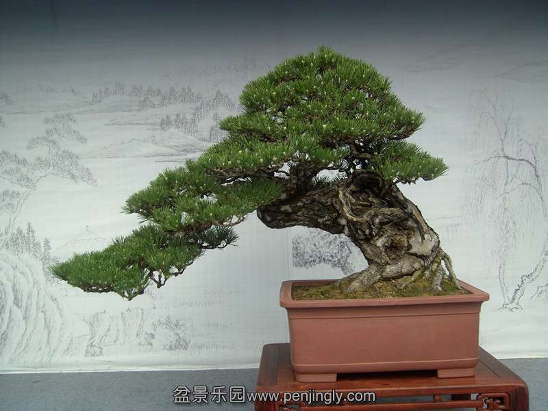 PICT1477_.jpg
