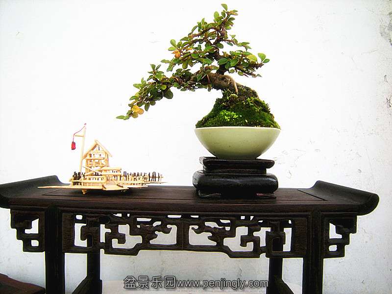 DSCN2711_.jpg