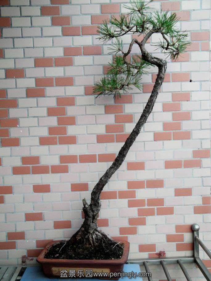DSC00304.JPG