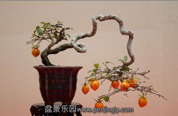 QQͼƬ20130721215358.jpg