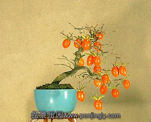 QQͼƬ20130730200139.jpg