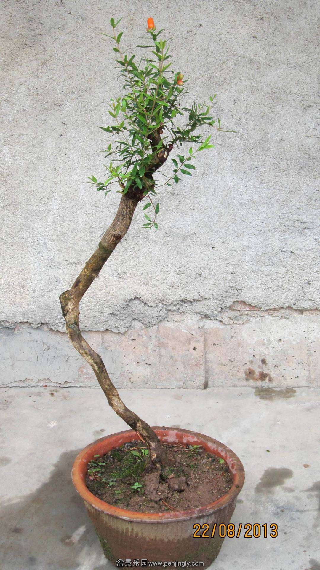 ͼƬ12.jpg