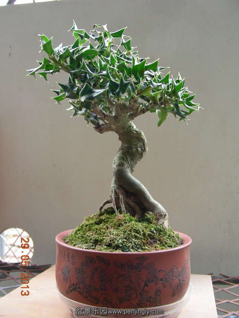 DSCN3466.JPG