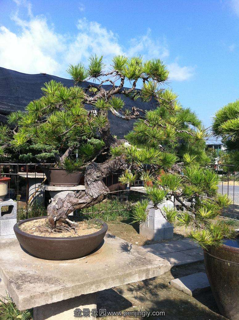 20130824 002.jpg