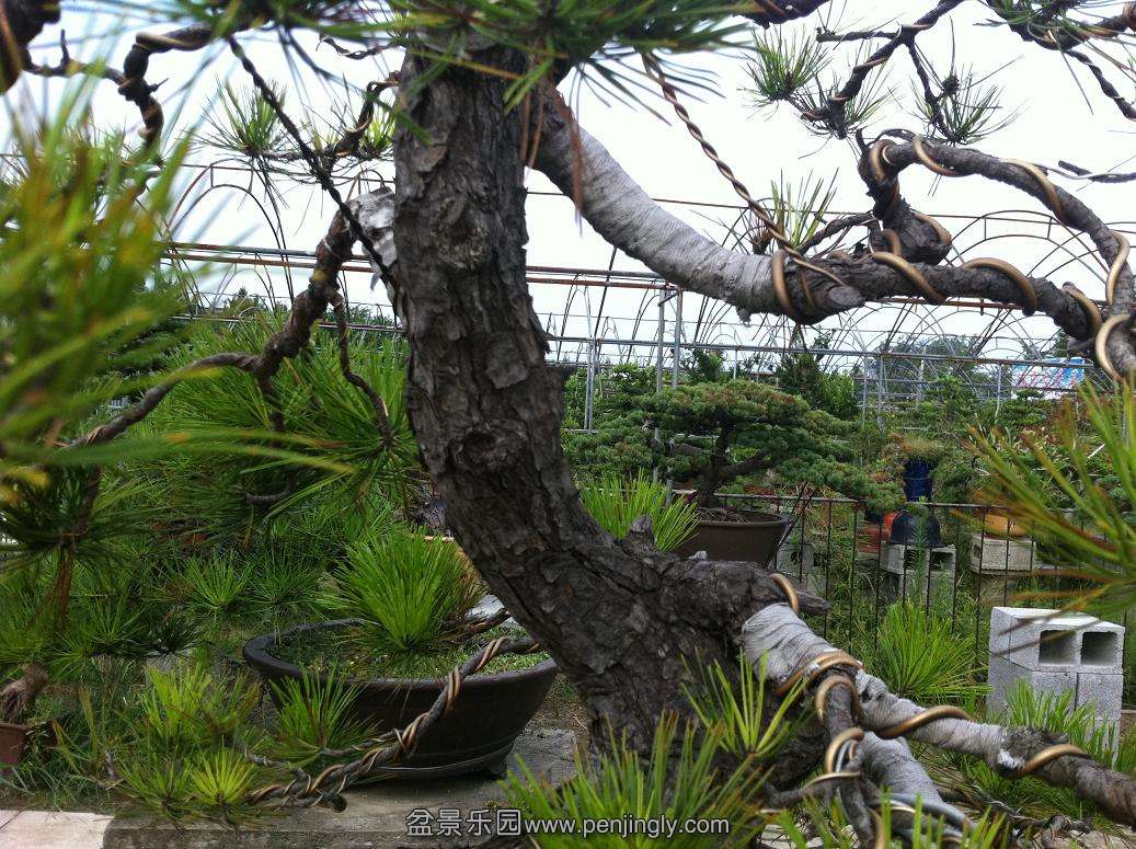 20130824 005.jpg