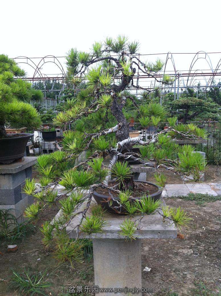 20130824 009.jpg