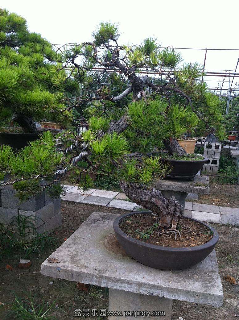 20130824 010.jpg