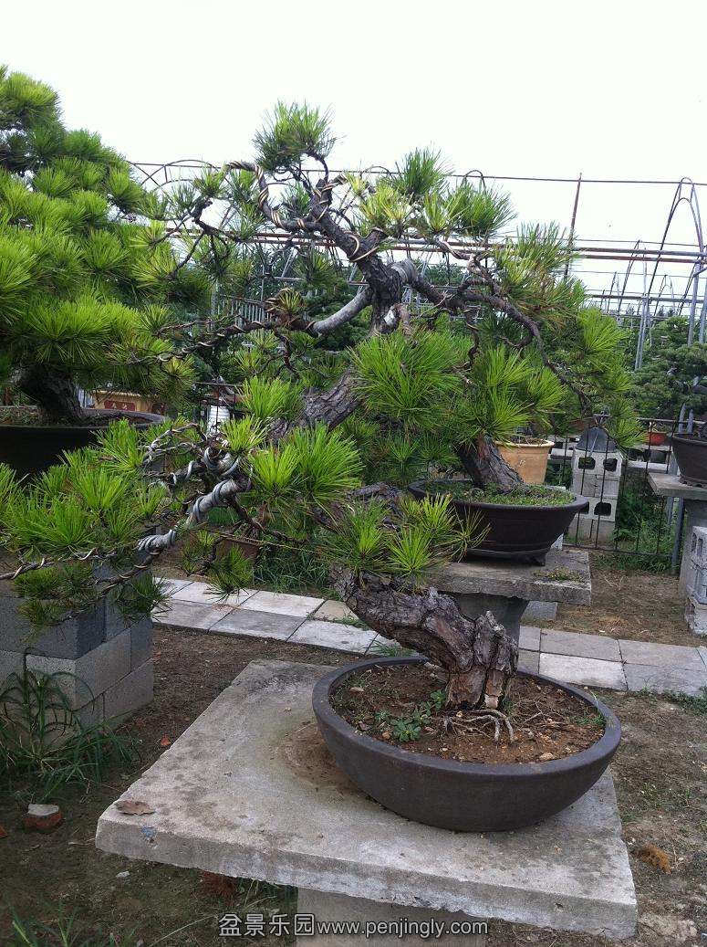 20130824 011.jpg