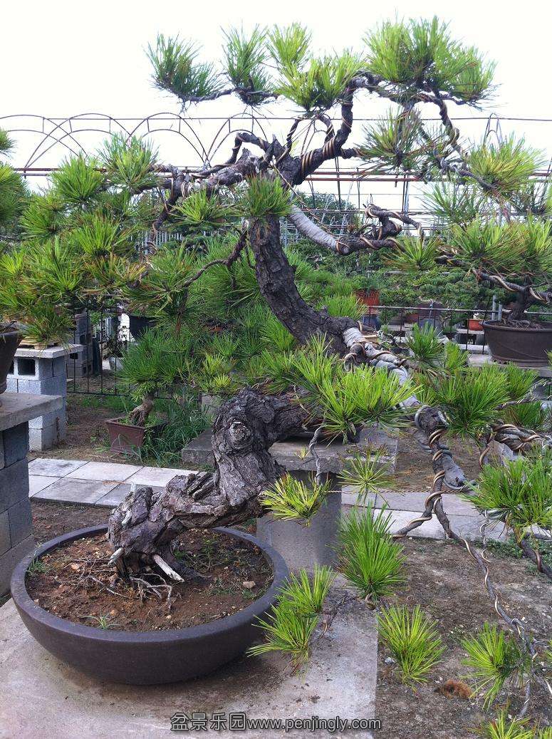 20130824 013.jpg