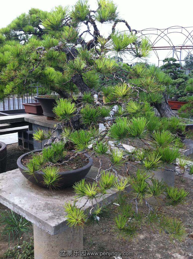 20130824 014.jpg