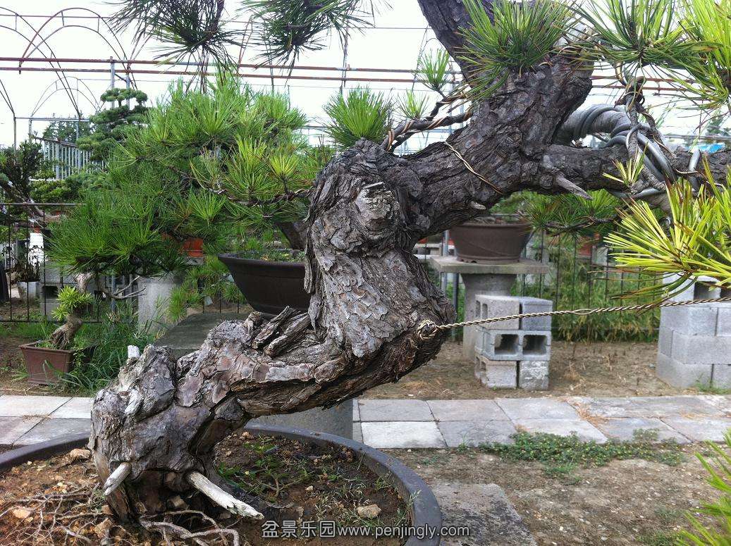 20130824 015.jpg
